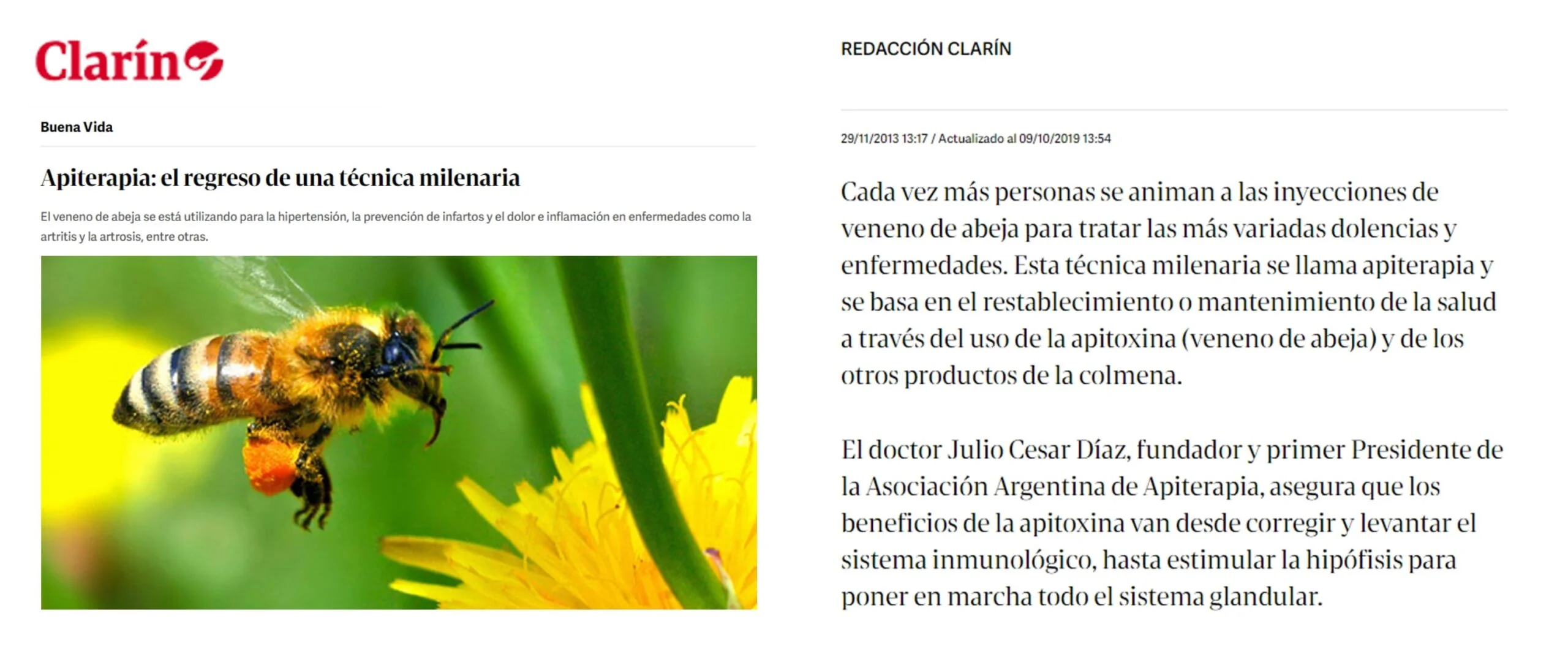 Apiterapia: el regreso de una técnica milenaria - Nota Clarín