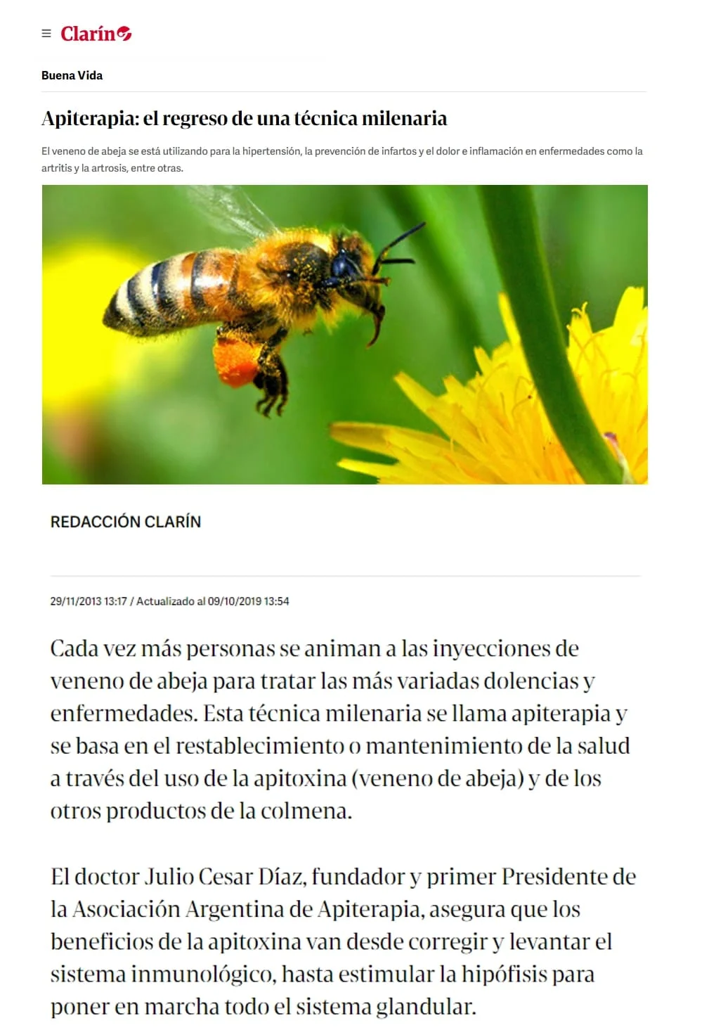 Apiterapia: el regreso de una técnica milenaria - Nota Clarín